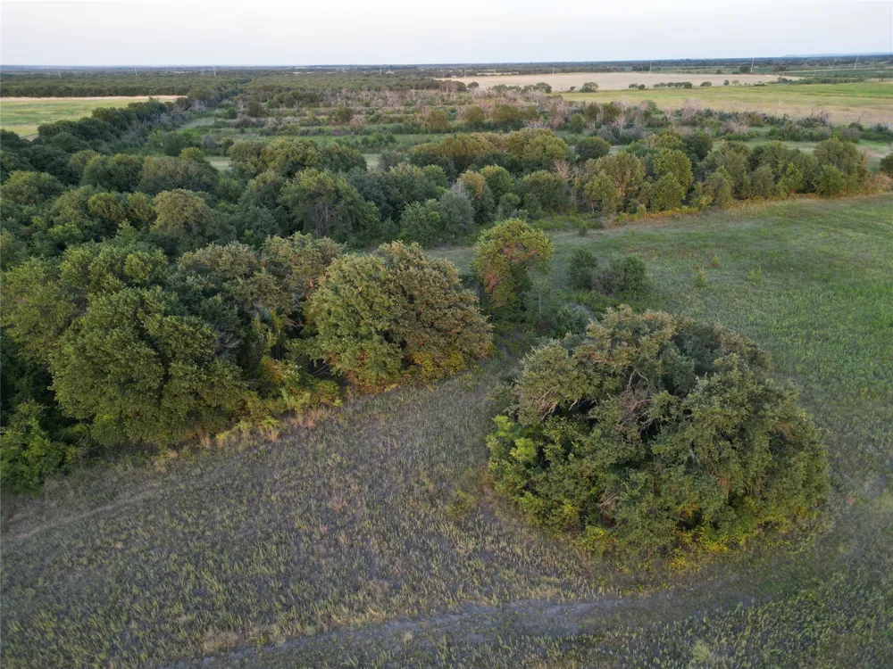 1448 County Road 129 Rising Star, TX 76471