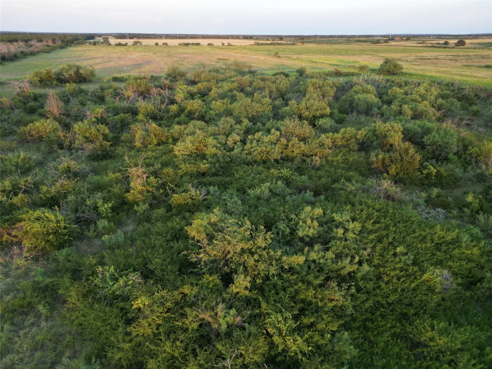 1448 County Road 129 Rising Star, TX 76471