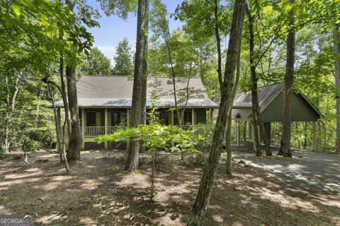 81 Sweetgum CIR