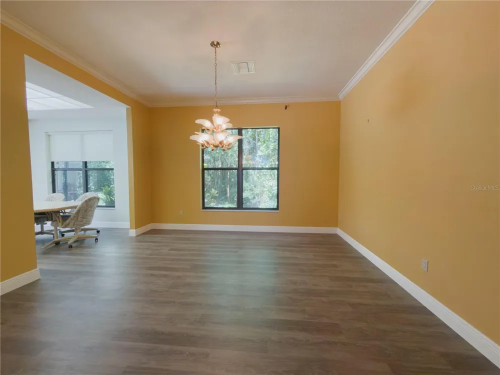 11708 ORANGE GROVE DRIVE Tampa, FL 33618