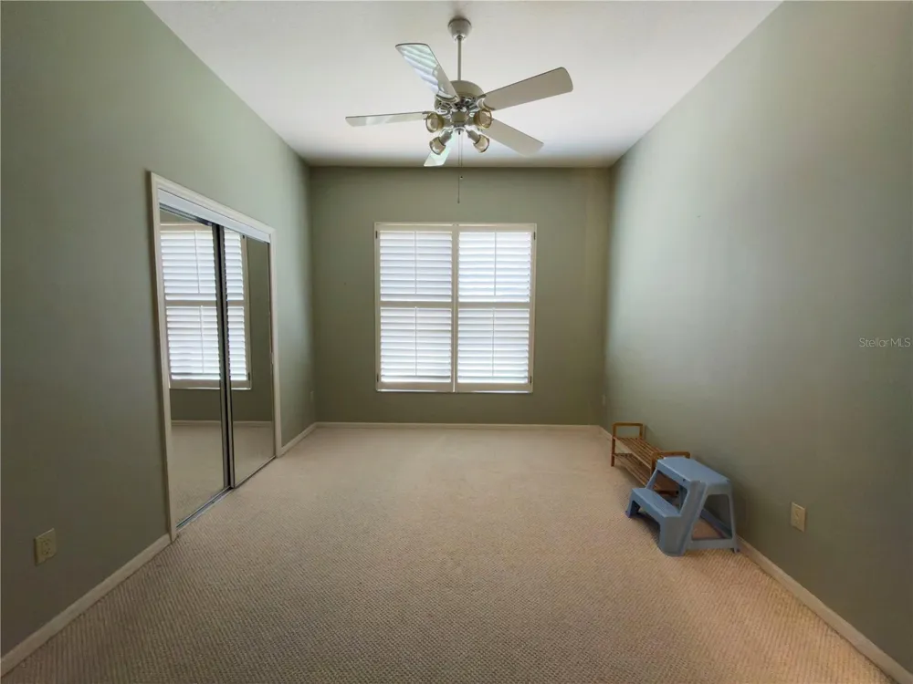 11708 ORANGE GROVE DRIVE Tampa, FL 33618