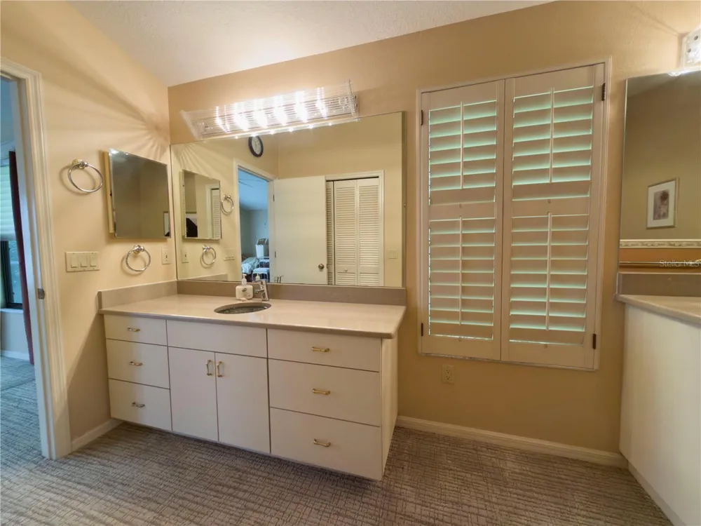 11708 ORANGE GROVE DRIVE Tampa, FL 33618