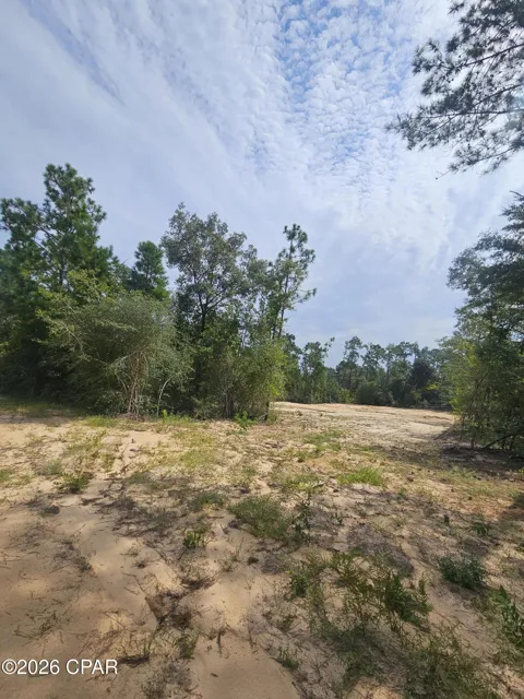 1225 Alene Drive