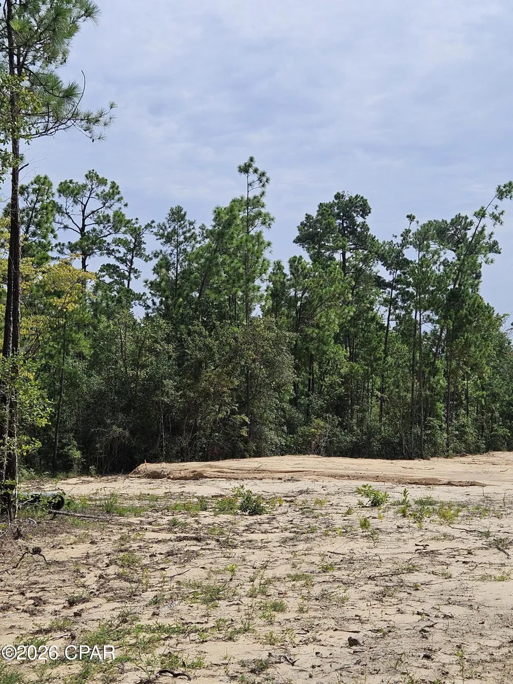 1225 Alene Drive Alford, FL 32420