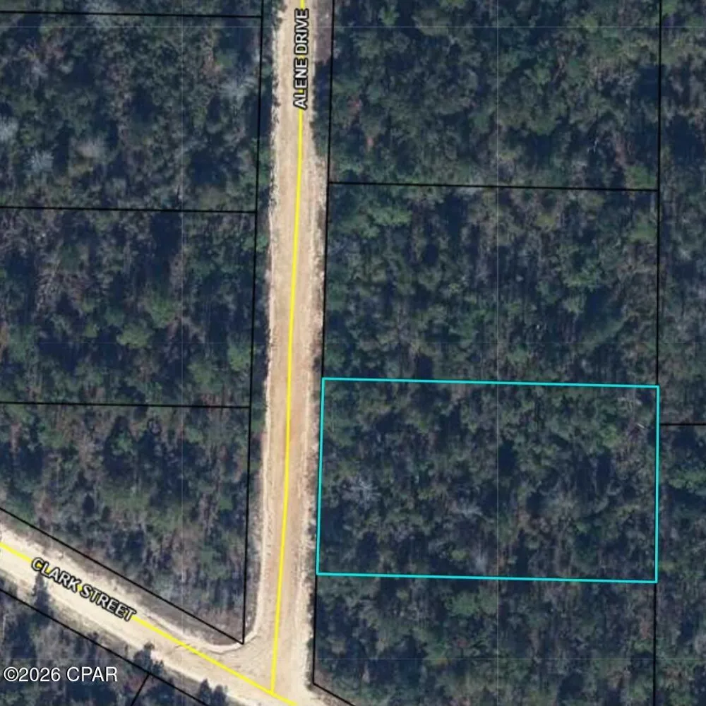 1225 Alene Drive Alford, FL 32420