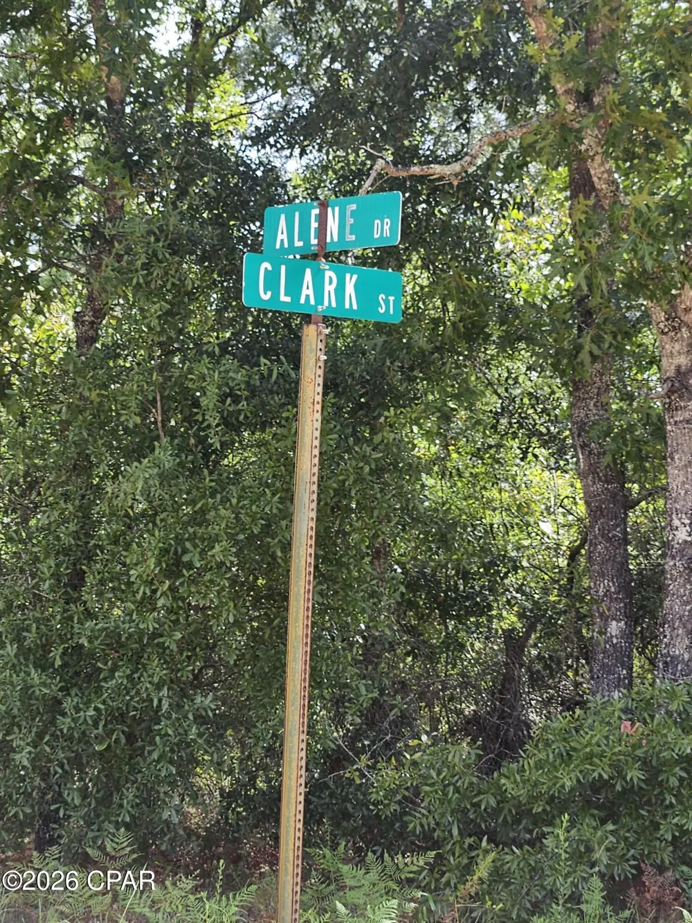 1225 Alene Drive Alford, FL 32420