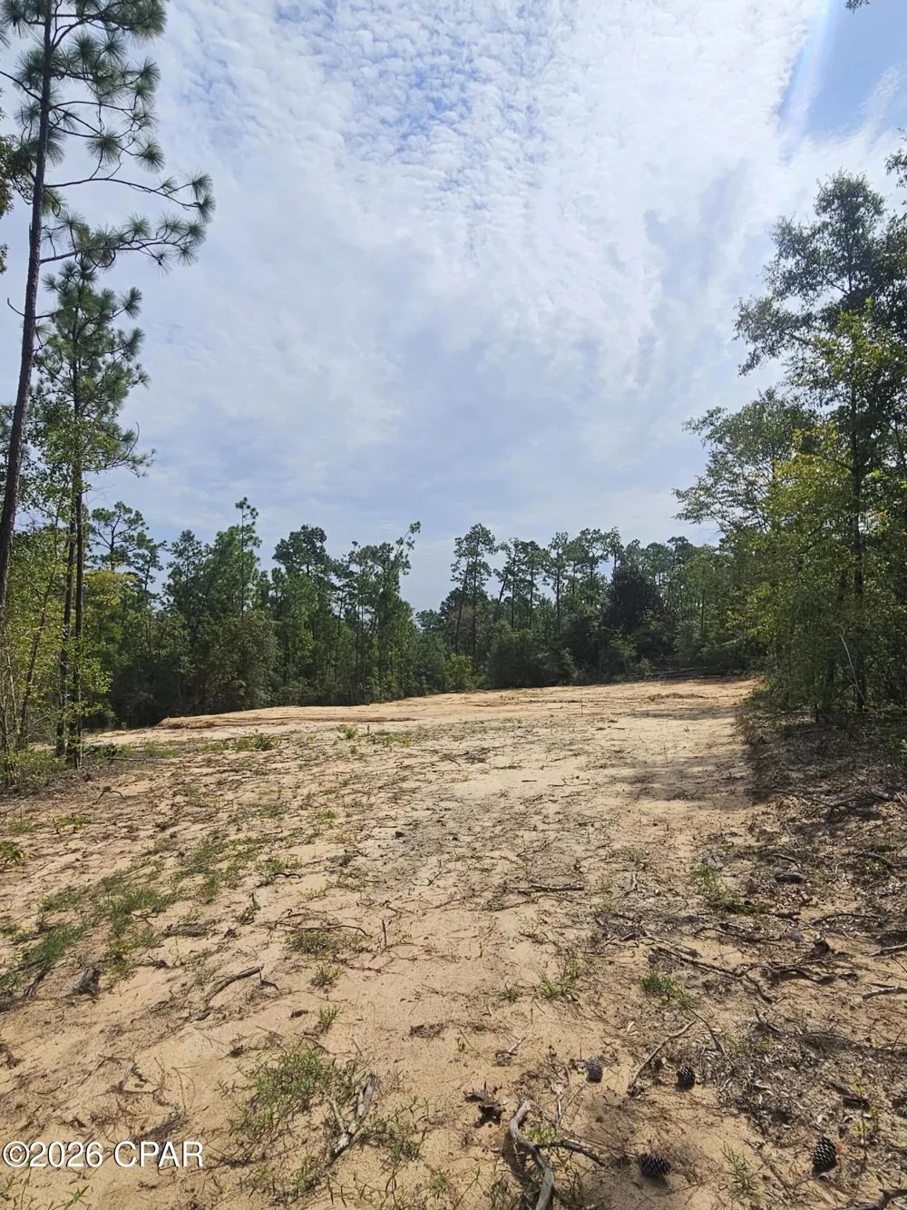 1225 Alene Drive Alford, FL 32420