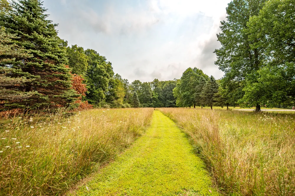 Sharon Hollow Road Manchester, MI 48158