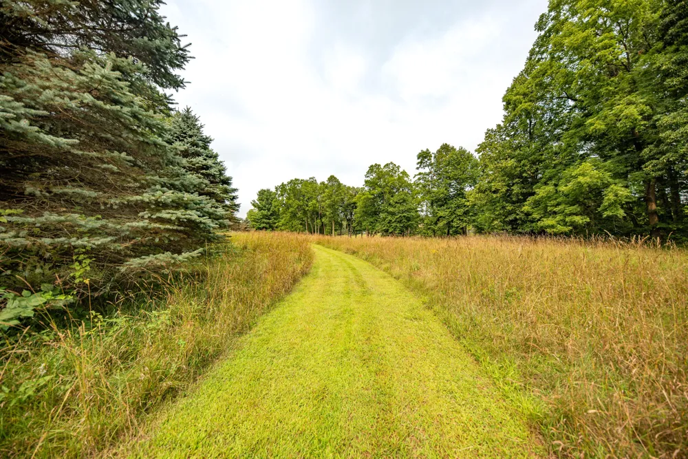 Sharon Hollow Road Manchester, MI 48158