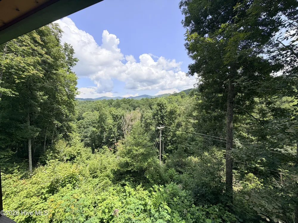 119 Bucks Nest Drive Topton, NC 28781