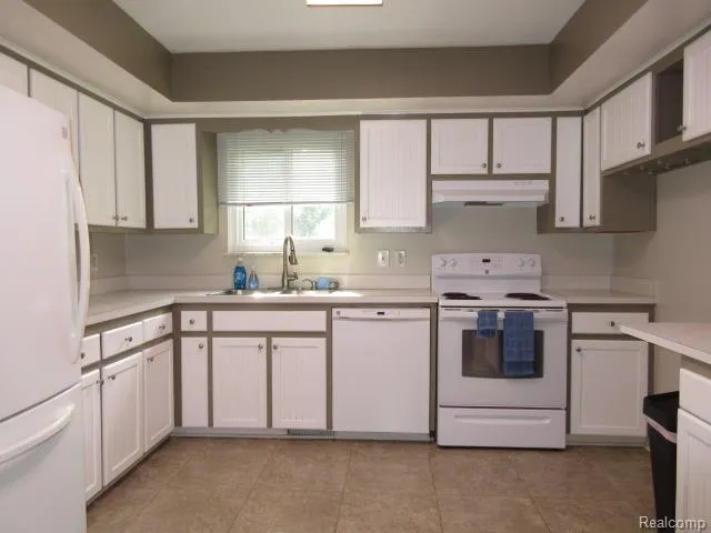 319 Sherman Court Ortonville Village, MI 48462