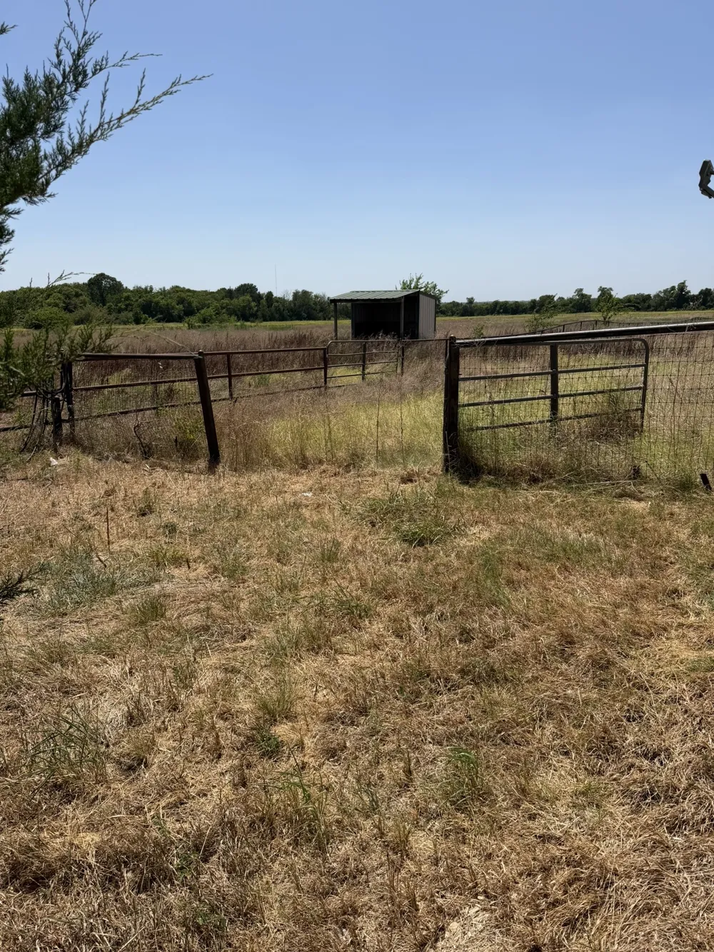 16125 State Highway 160 Blue Ridge, TX 75424