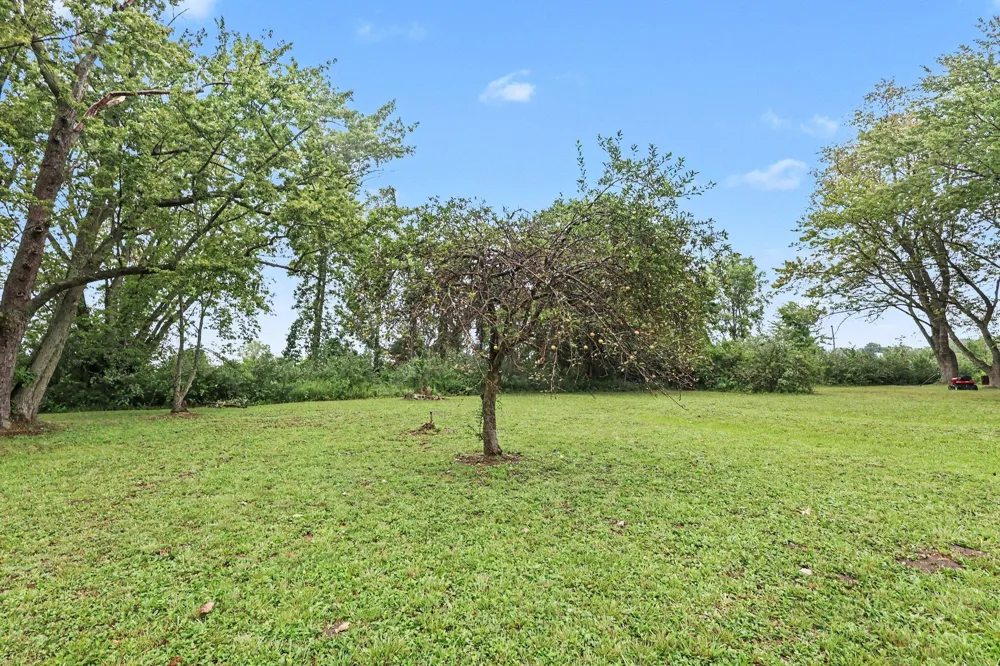 8630 M-140 South Haven, MI 49090