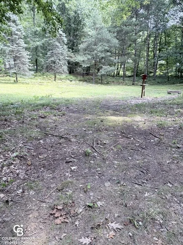 186 Hills Cir Circle Rose Lake Township, MI 49655
