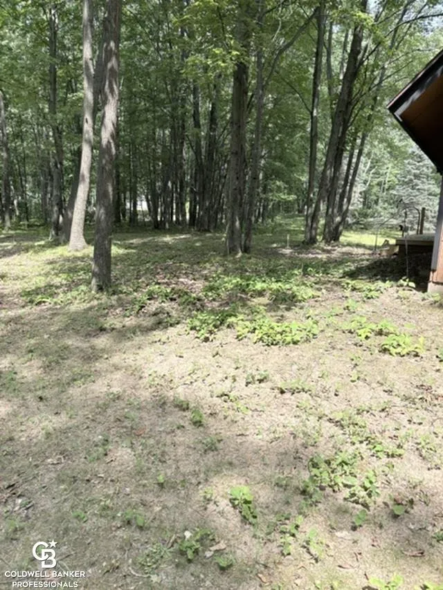 186 Hills Cir Circle Rose Lake Township, MI 49655