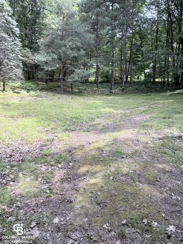 186 Hills Cir Circle Rose Lake Township, MI 49655