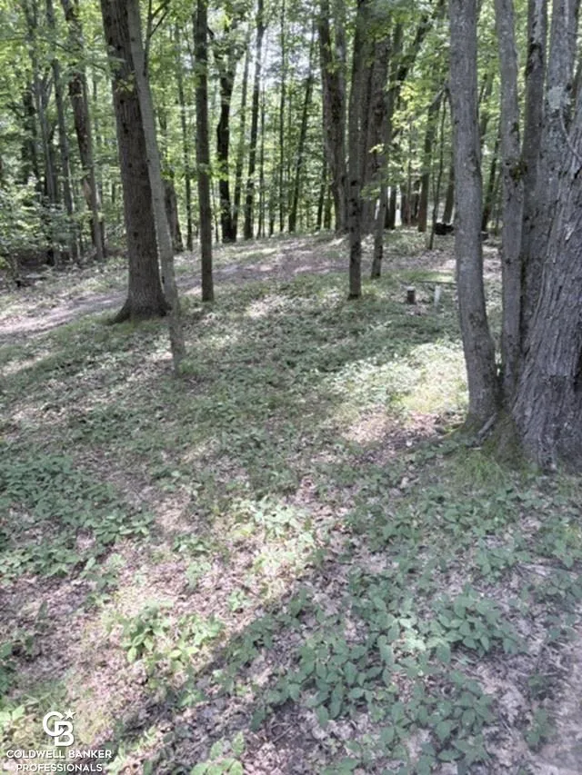 186 Hills Cir Circle Rose Lake Township, MI 49655