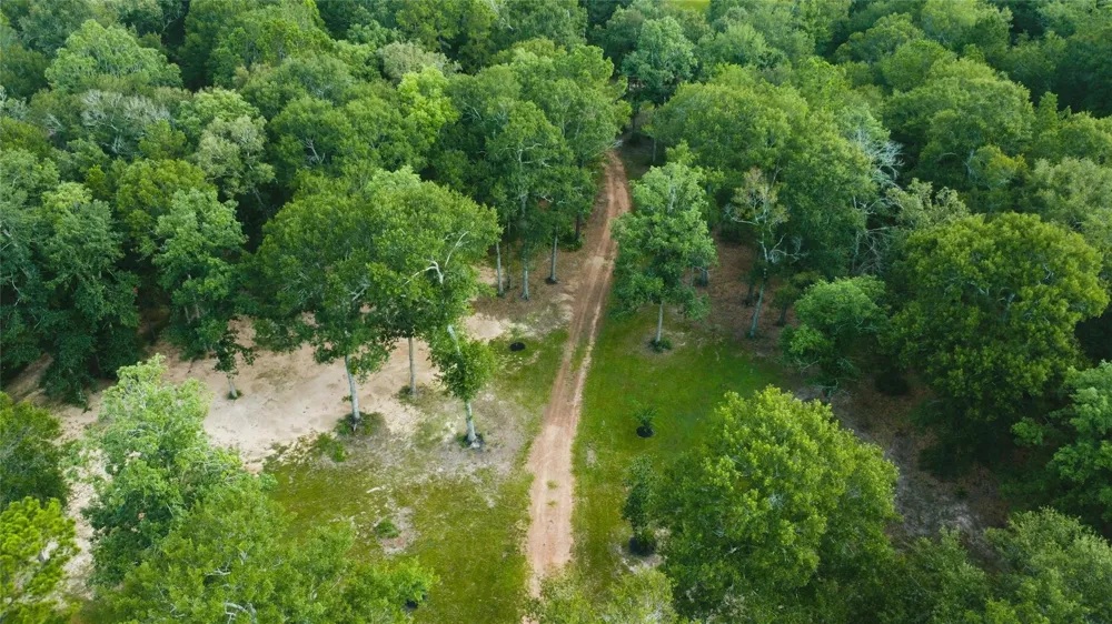 21119 Rock Pigeon Cleveland, TX 77328