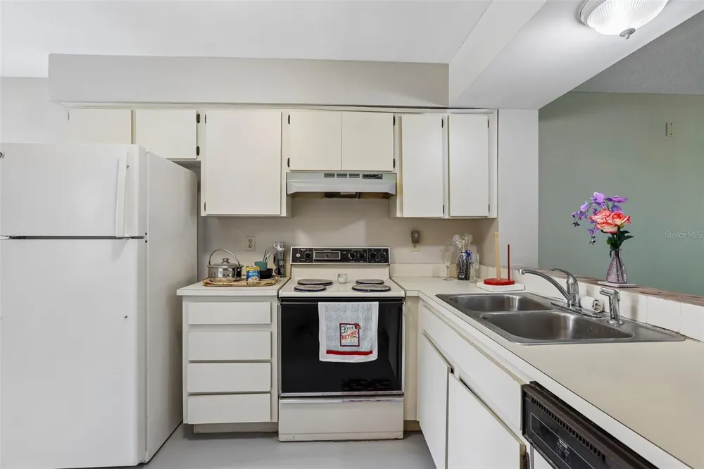 8419 LAURELON PLACE Temple Terrace, FL 33637
