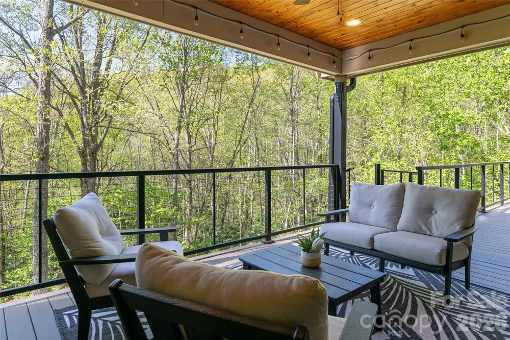 36 Snowshoe Drive Asheville, NC 28803