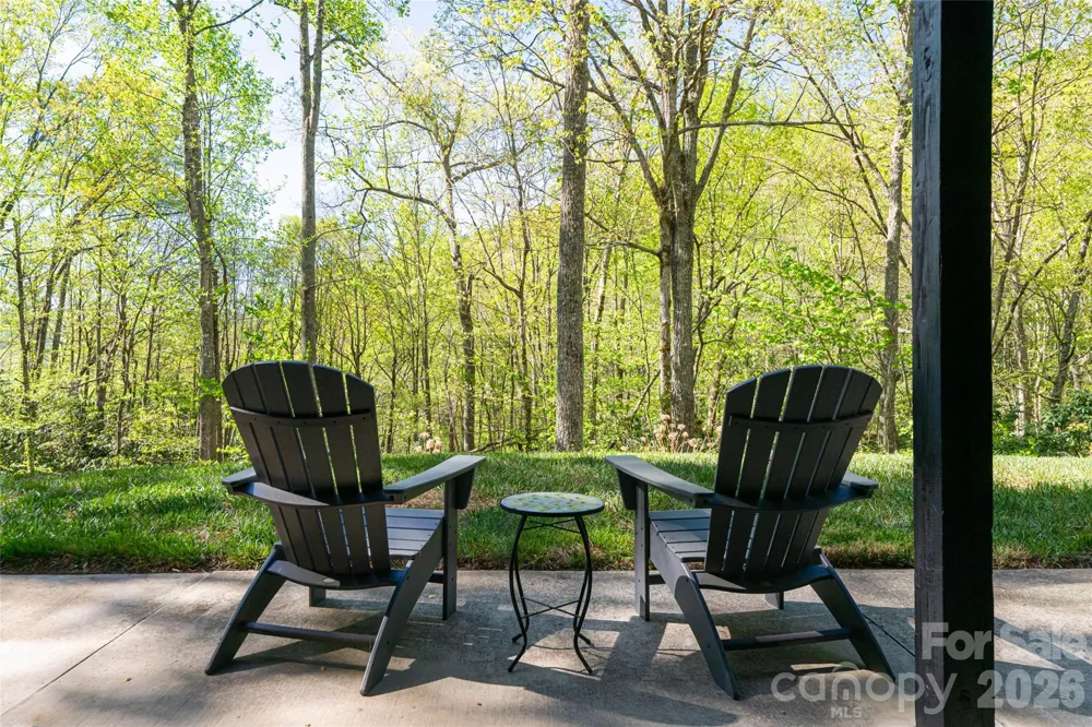 36 Snowshoe Drive Asheville, NC 28803