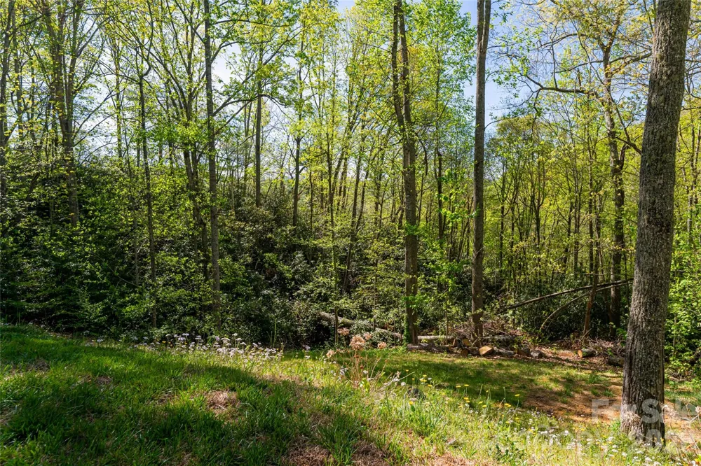 36 Snowshoe Drive Asheville, NC 28803