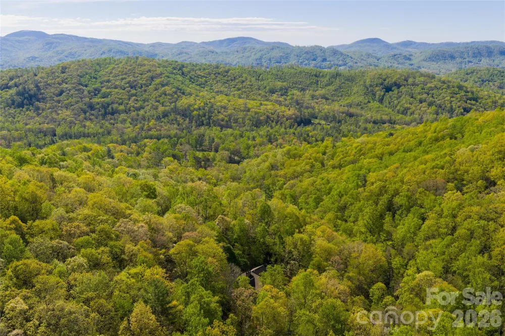 36 Snowshoe Drive Asheville, NC 28803