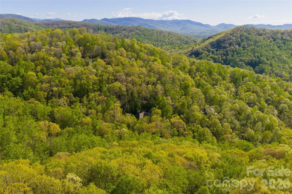 36 Snowshoe Drive Asheville, NC 28803