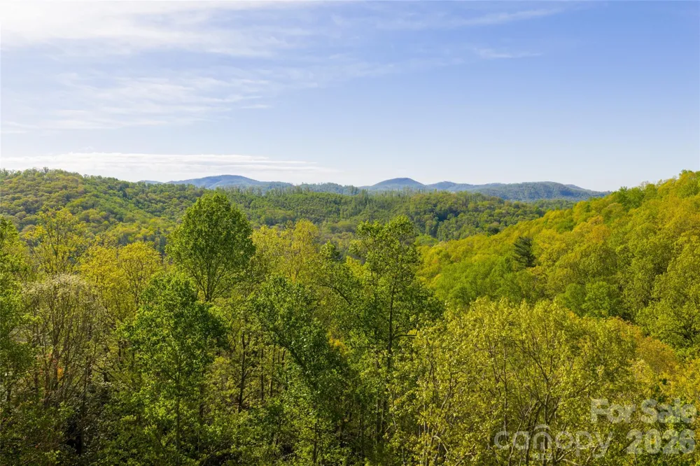 36 Snowshoe Drive Asheville, NC 28803