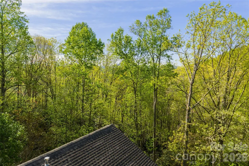 36 Snowshoe Drive Asheville, NC 28803