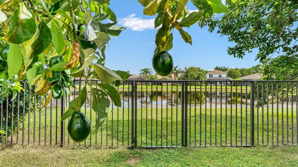 8292 Calabria Lakes Drive Boynton Beach, FL 33473