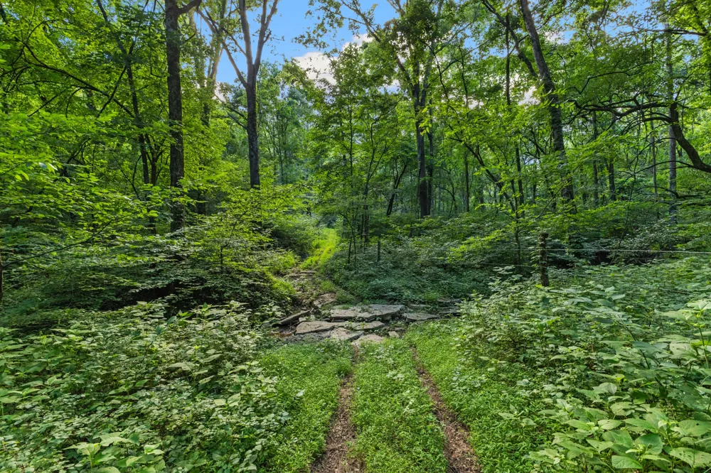 8021 Palmore Hollow Ln Nolensville, TN 37135