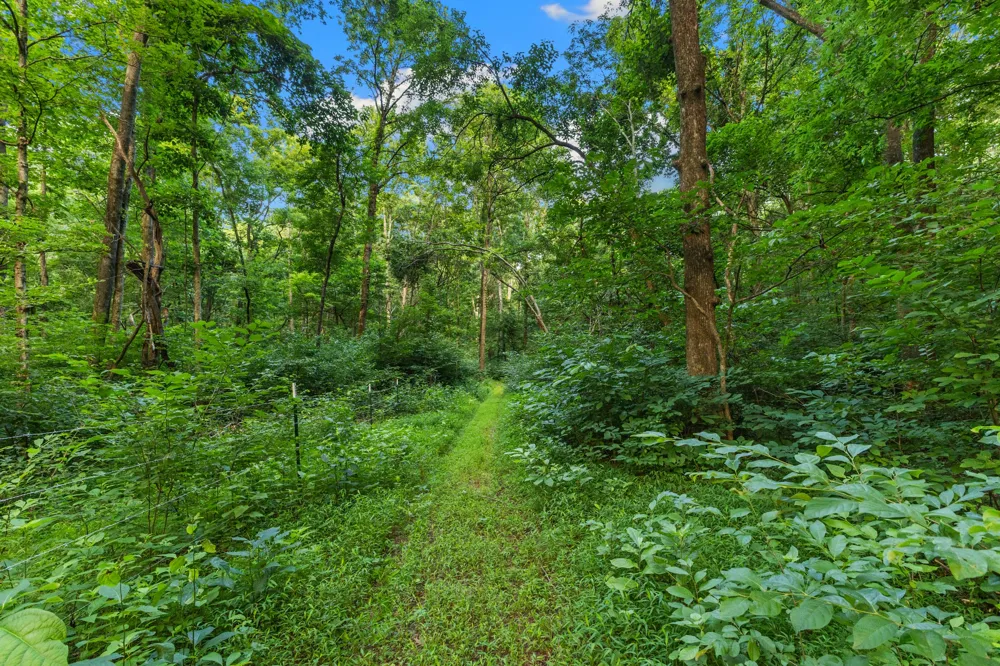 8021 Palmore Hollow Ln Nolensville, TN 37135