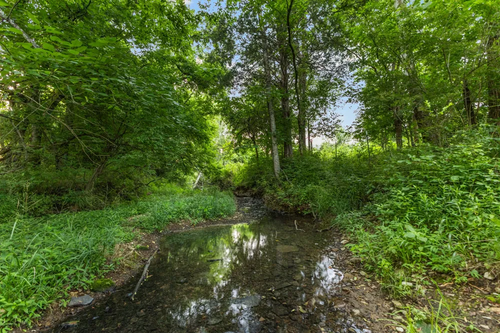 8021 Palmore Hollow Ln Nolensville, TN 37135