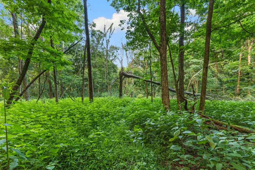 8021 Palmore Hollow Ln Nolensville, TN 37135