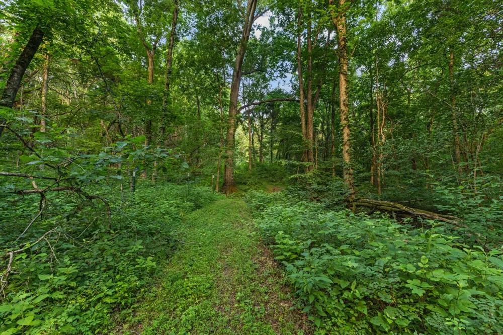 8021 Palmore Hollow Ln Nolensville, TN 37135