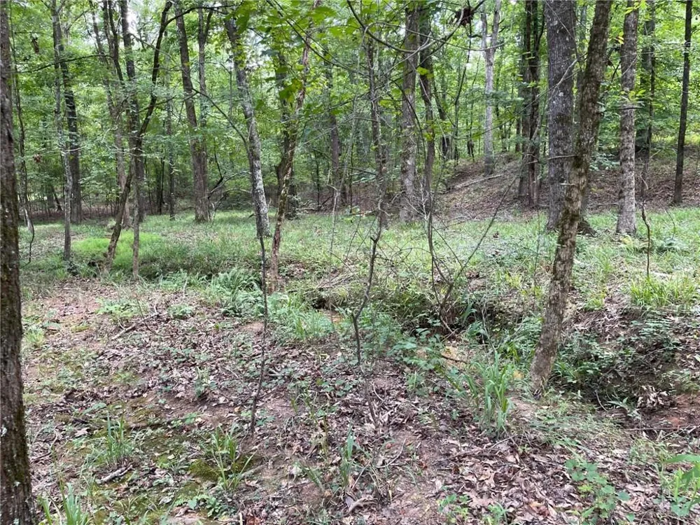 148 Harmony Bay Drive Eatonton, GA 31024