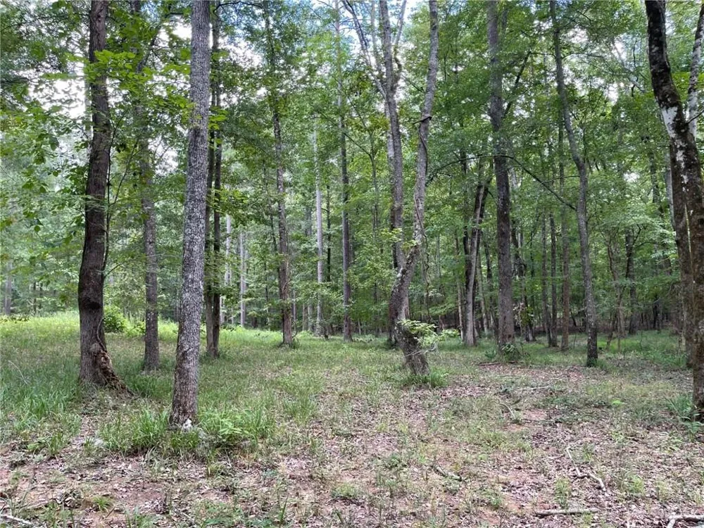 148 Harmony Bay Drive Eatonton, GA 31024