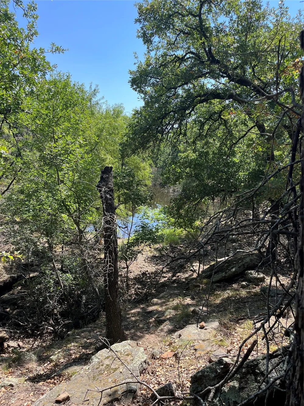 Glenhollow Drive Gordon, TX 76453
