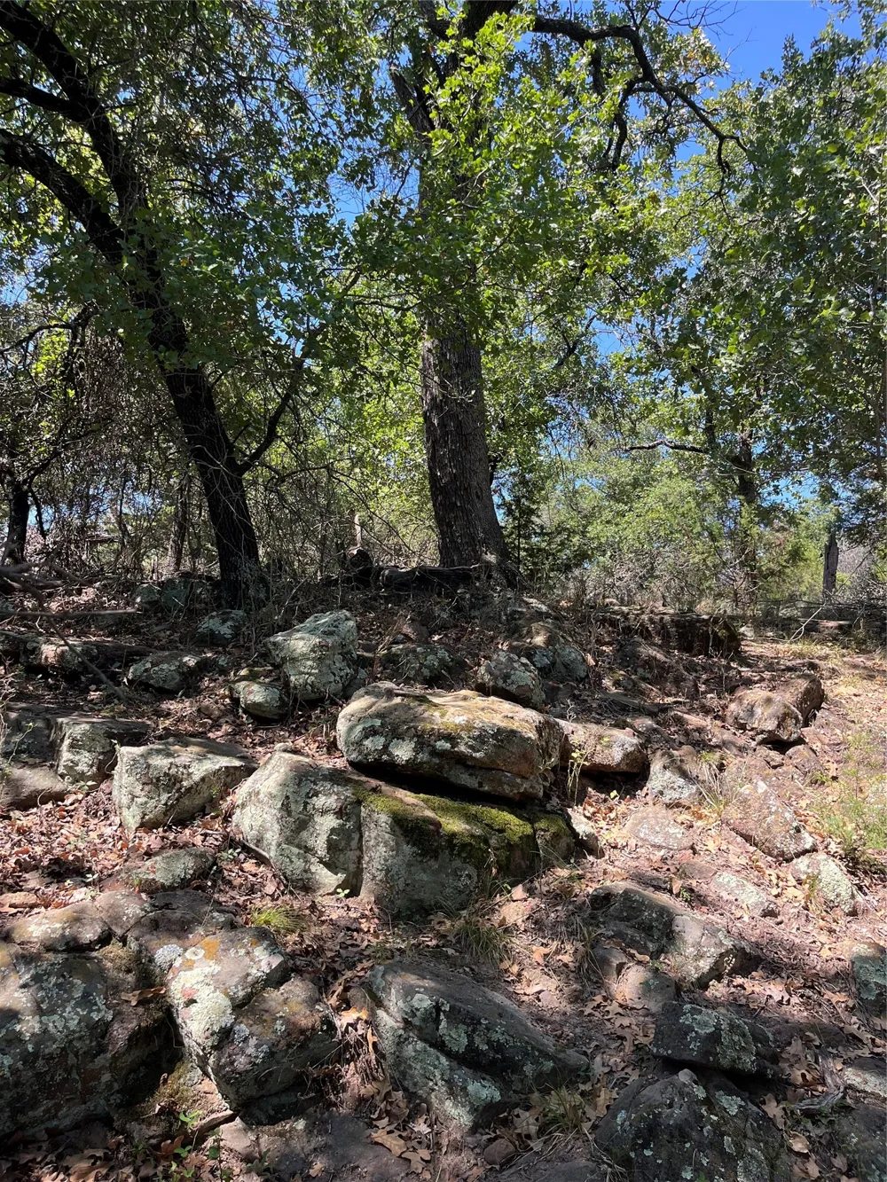 Glenhollow Drive Gordon, TX 76453