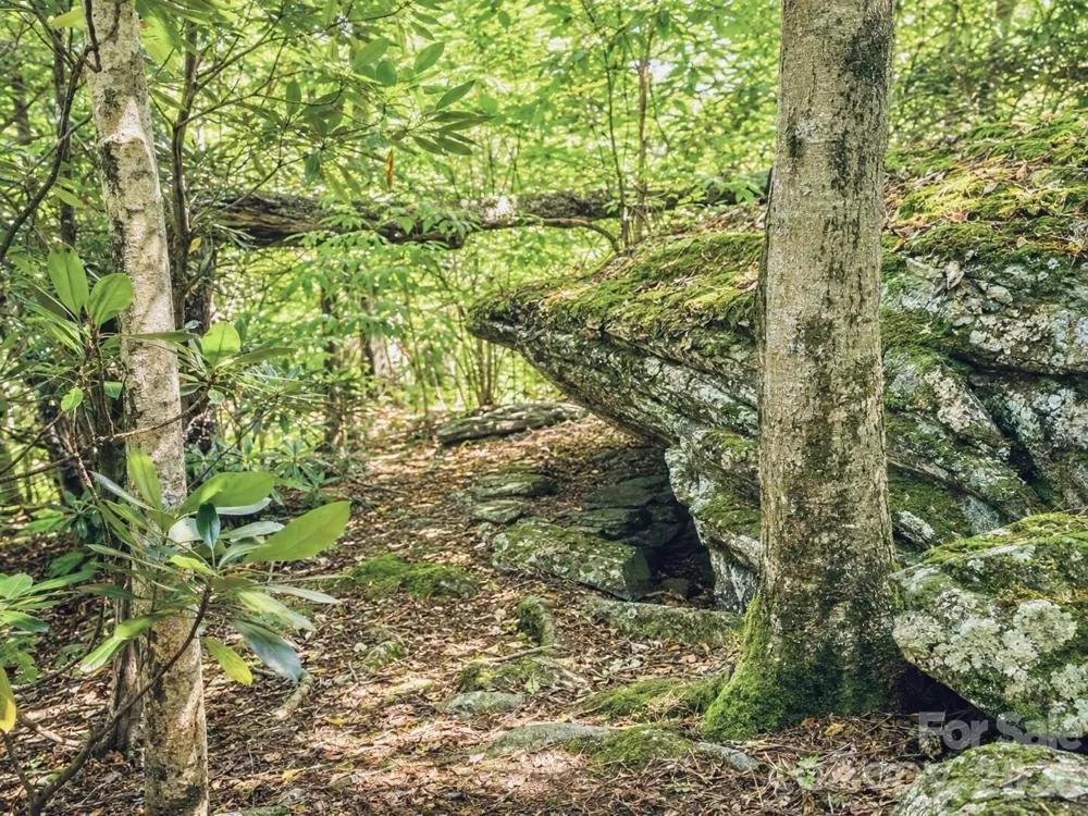 1361 Longhope Road Todd, NC 28684