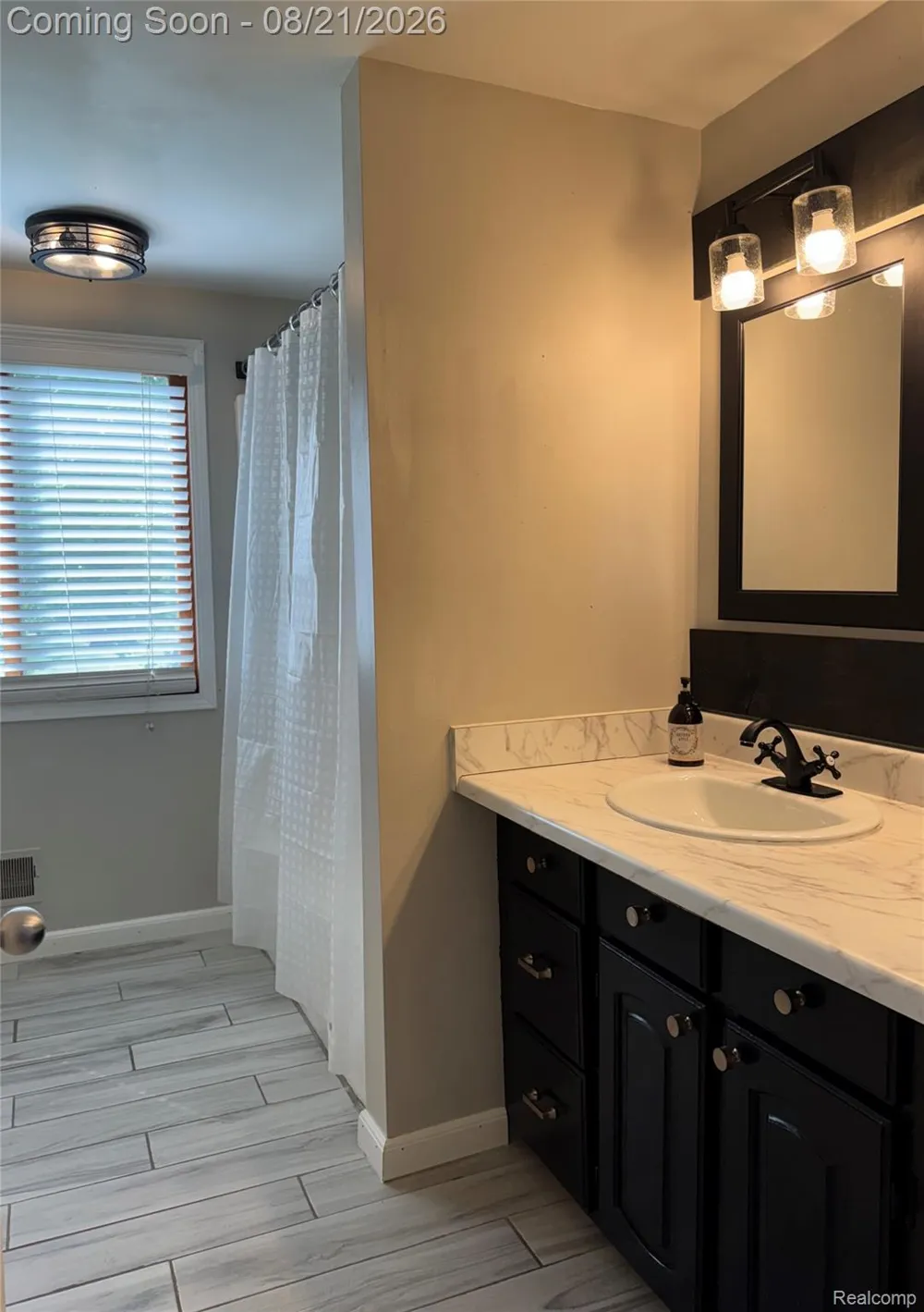 3877 Westlyn Drive Lake Orion Village, MI 48359