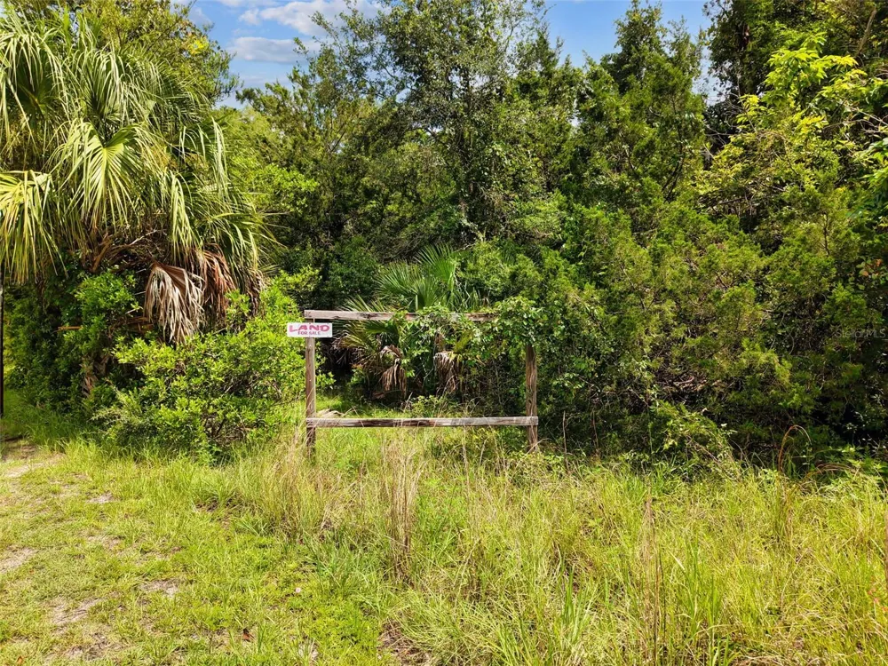 000 S MAIN STREET Chiefland, FL 32626