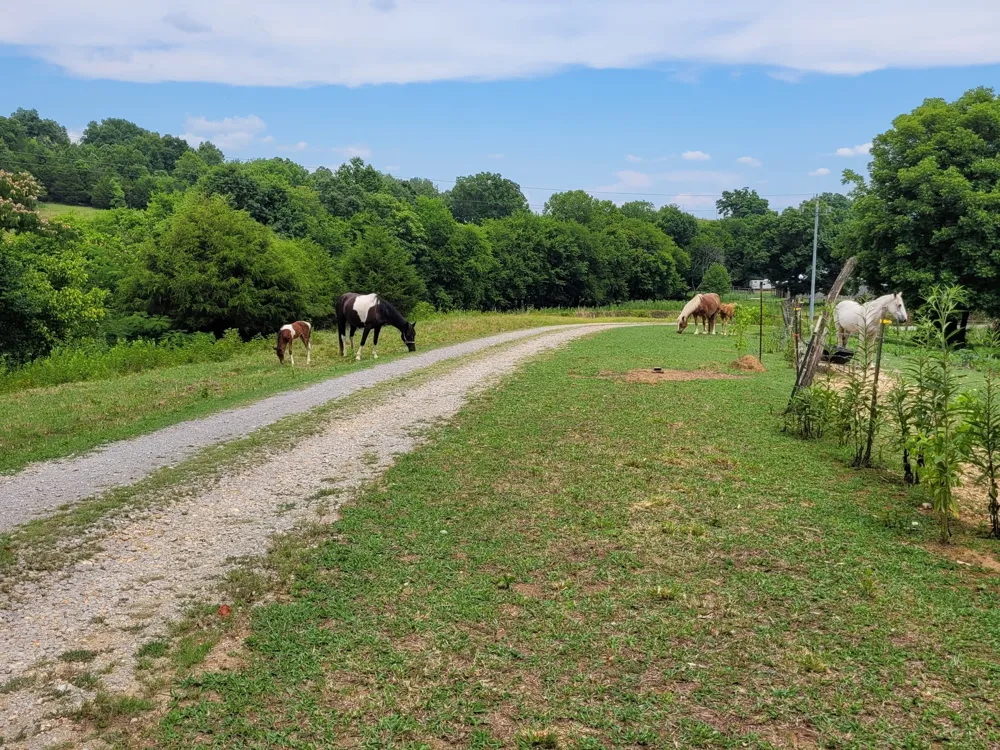 2339 Talley Rd Belfast, TN 37019