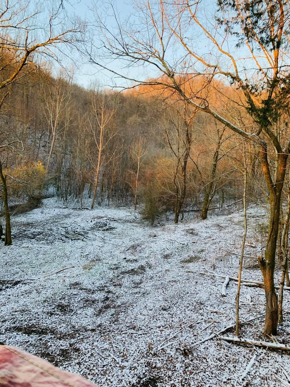 2339 Talley Rd Belfast, TN 37019