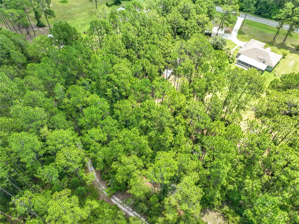41821 ROYAL TRAILS ROAD Eustis, FL 32736