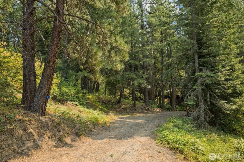 1511 Pine Loch Sun Drive Ronald, WA 98940