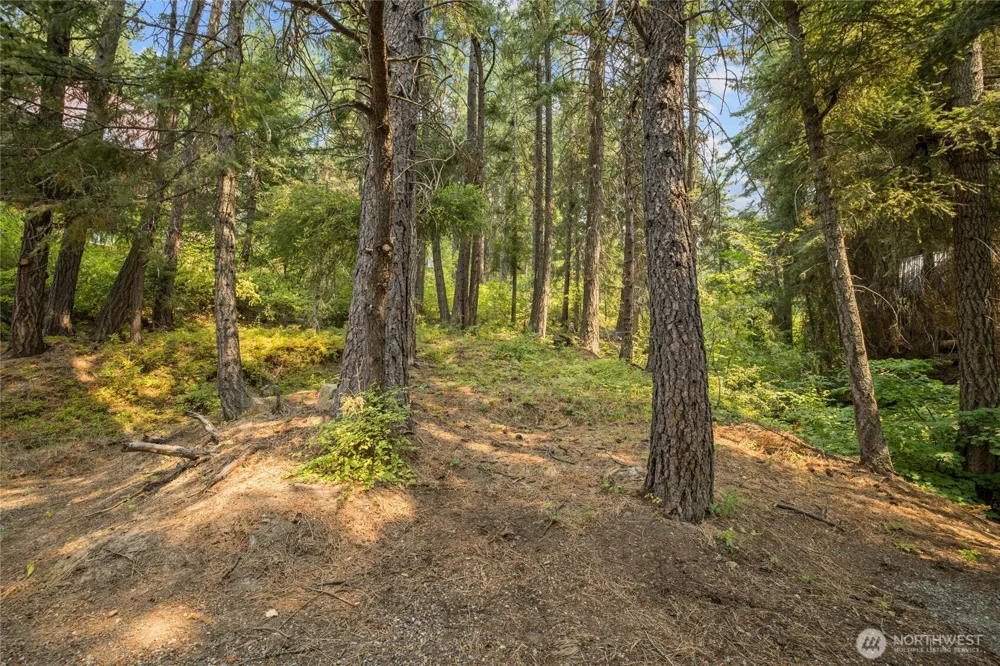1511 Pine Loch Sun Drive Ronald, WA 98940
