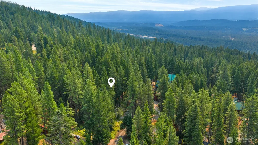 1511 Pine Loch Sun Drive Ronald, WA 98940