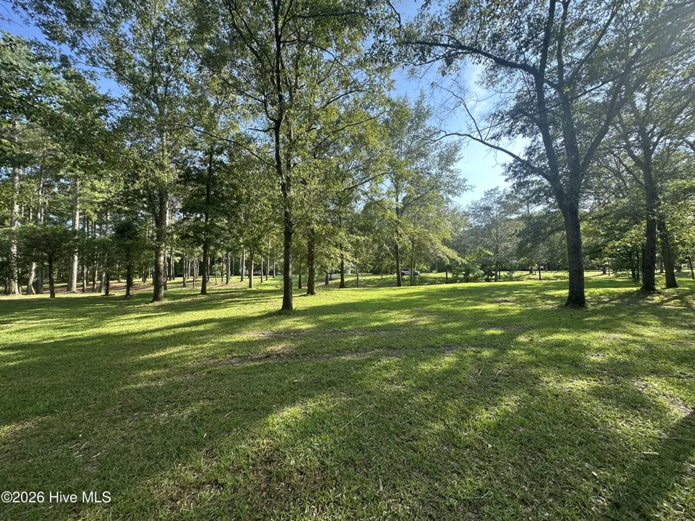 43 Black River Lane Harrells, NC 28444